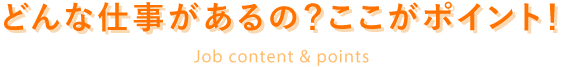 どんな仕事があるの？ここがポイント！
